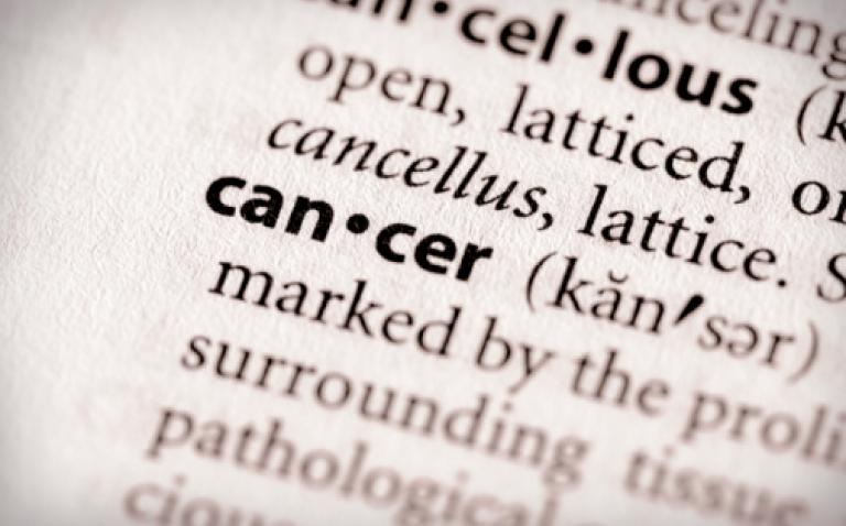Understanding immuno-oncology in kidney cancer
