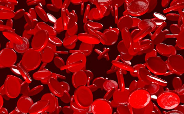 Weekly prophylaxis with Elocta results in bleed protection and target joint resolution in haemophilia A