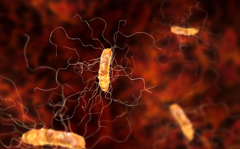 Therapy for the prevention of recurrence of Clostridium difficile infection is launched in the UK