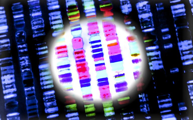 Genome sequencing of first 50,000 UK Biobank participants