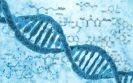 Genetic test improves safety of IBD treatments