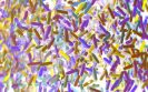 How does the immune system maintain a healthy gut microbiota?