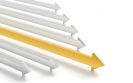 Expert view: Refining the use of belimumab in patients with SLE