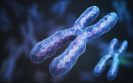 Unlocking the female bias in lupus