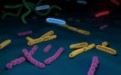 Antibiotics available in some OTC throat medications could contribute to increased antibiotic resistance