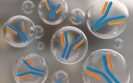 Getting closer to finding out why the immune system attacks itself