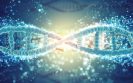 Blood samples to help select the right early phase clinical trials for cancer patients