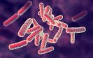 Is FMT helpful in children with C. difficile?