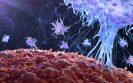 New strategy of reprogramming regulatory T cells may improve cancer therapies
