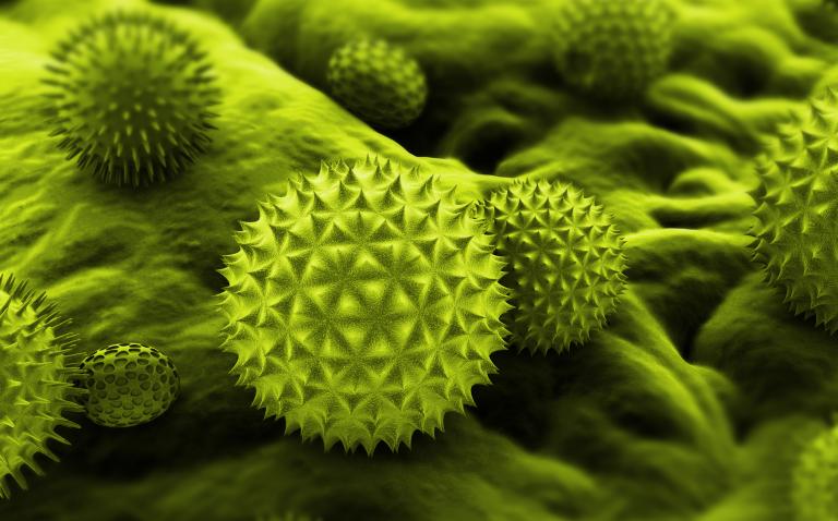 Pollen allergies occur more frequently in anxiety sufferers