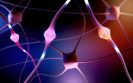 Zebinix effective as adjunctive therapy in epilepsy patients with psychiatric comorbidities