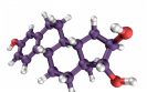 Higher oestrogen levels linked to more severe disease in scleroderma