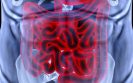Research redefines constipation