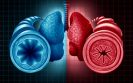 First lung map uncovers new insights into asthma