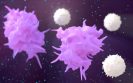 New data demonstrate impact of emapalumab in patients with macrophage activation syndrome