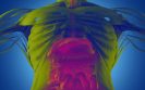 Expert view: JAK inhibitors in ulcerative colitis – raising an alert