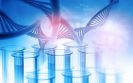 Faecal marker could help diagnose early signs of chronic gut conditions