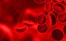 One in five haematological cancer patients suffer blood clots or bleeding