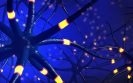 Study suggests MS patients are at a greater risk of cancer