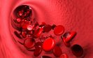Switching to extended half-life prophylaxis impacts clinical outcomes in haemophilia A or B
