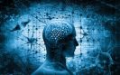 Boost for MS and Parkinson’s research as charities pump £3 million into UK brain bank
