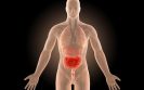 Researchers identify potential treatment target for Crohn's disease
