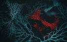 Collaborating to better understand difficult to treat diseases