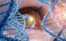 NICE recommends gene therapy in retinal dystrophies