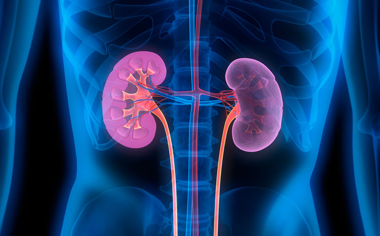 Roxadustat significantly increases haemoglobin levels in CKD patients with anaemia