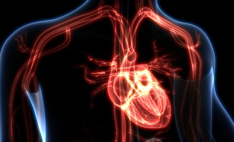 Digital heart model could help predict future heart health