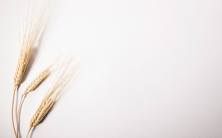 Research reveals insights into most common types of wheat sensitivity