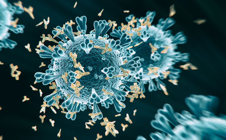 Public Health England approves coronavirus antibody test
