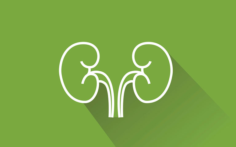 Chronic kidney disease: COVID-19 rapid guideline summary