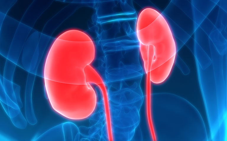 Use of allopurinol does not preserve kidney function in type 1 diabetics