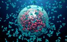 Neutralising antibodies COVID
