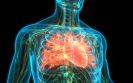 heart failure and COVID report