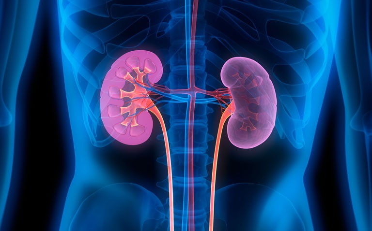 Study assesses response to a third COVID vaccination in kidney transplant patients