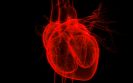 heart failure and cancer risk