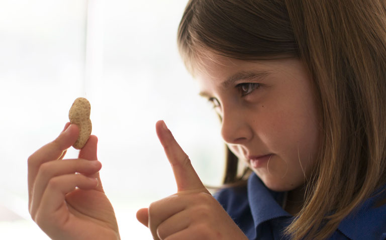 Efficacy of Palforzia in childhood peanut allergy increases over time
