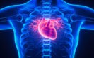 Real-world analysis reveals high level of recurrent cardiovascular events and death 6 months after primary episode