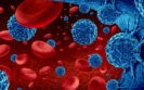 Improved clinical outcomes for haematological malignancy COVID-19 patients after convalescent plasma therapy