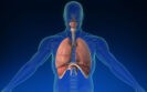Point-of-care test identifies bacterial and viral causes of acute respiratory infections