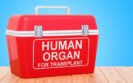 Why-patient-empowerment-should-be-at-the-heart-of-organ-transplantation