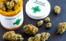 Medical marijuana reduces opiate use among cancer patients