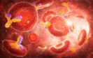 Anti-CD20 therapy increases complication risk in COVID-19 for blood cancer patients