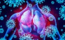 INNA-051 nasal spray accelerates respiratory virus clearance in phase 2 trial