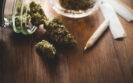 Cardiovascular symptoms present in nearly half of cannabis intoxicated patients seen in ED