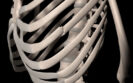 Study reveals rib fracture features requiring CT for assessment of internal injuries in ED