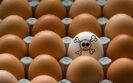 Enhanced vs reactive treatment of atopic eczema reduces hen egg allergy