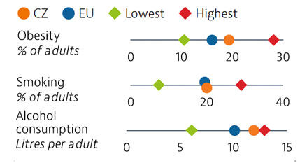 Health in Czechia : highlights